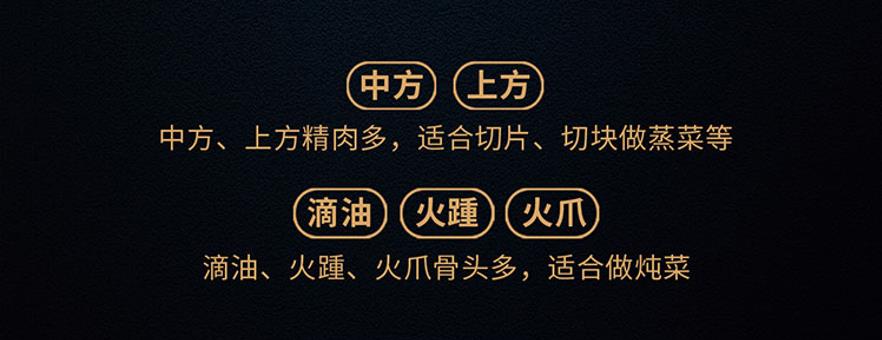 f904d22e6a9c477b84ef6e3ef88797fd