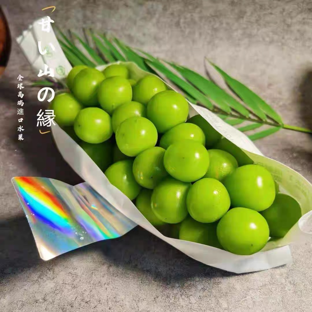 微信图片_20250718112405