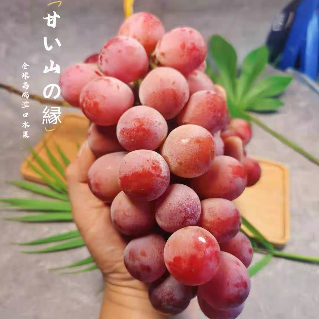 微信图片_20250718112357