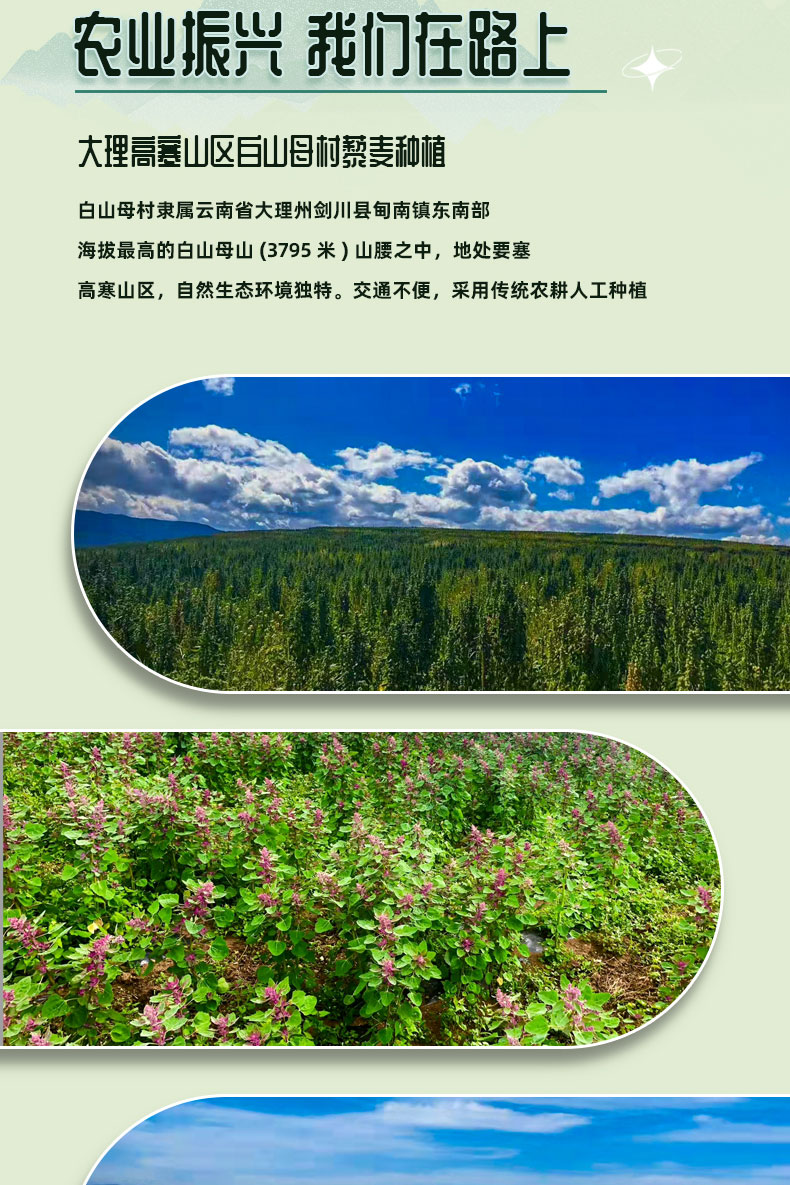 200g五黑藜麦饼详情（袋装）_04