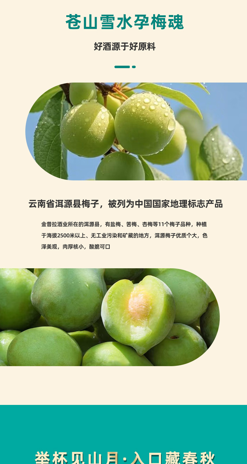 揽月-详情页_04
