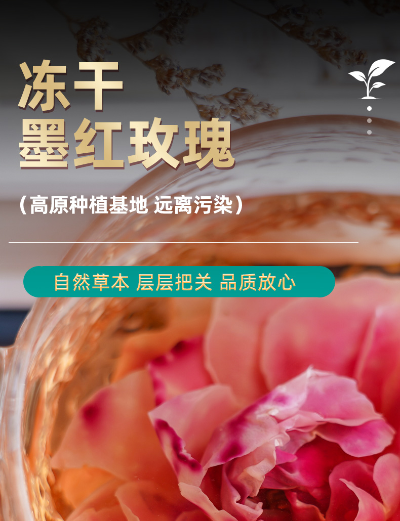 冻干墨红玫瑰-详情页_01