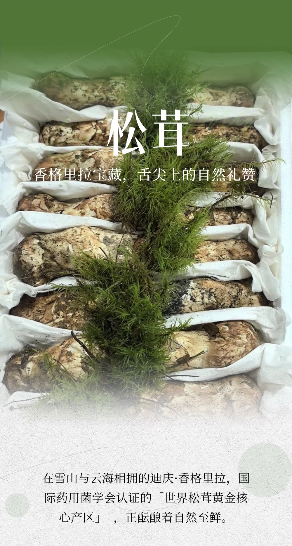 微信图片_20250723170314