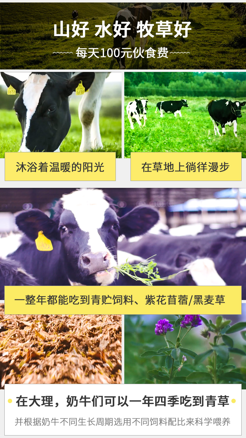 详情添加_02