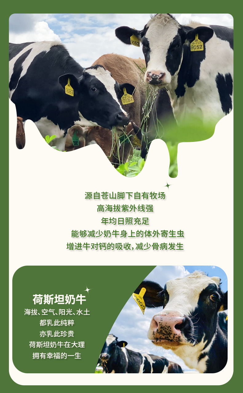 苍山有机梦幻盖_03