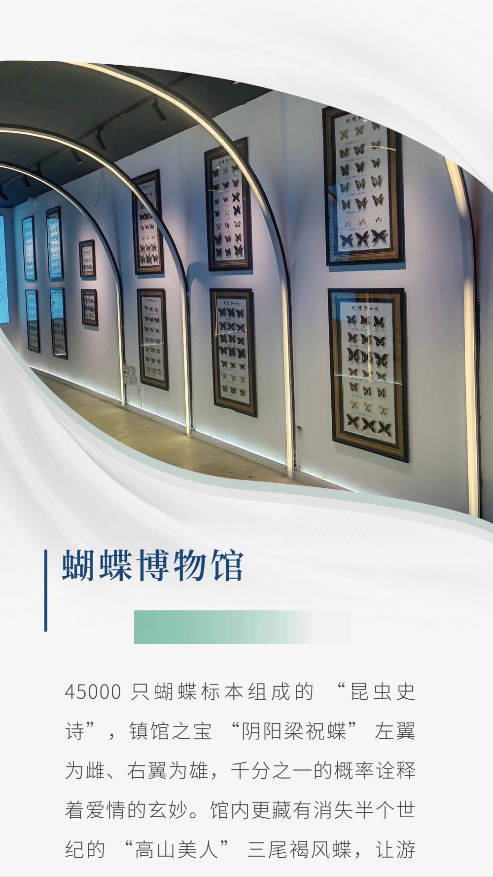 微信图片_20250730104046
