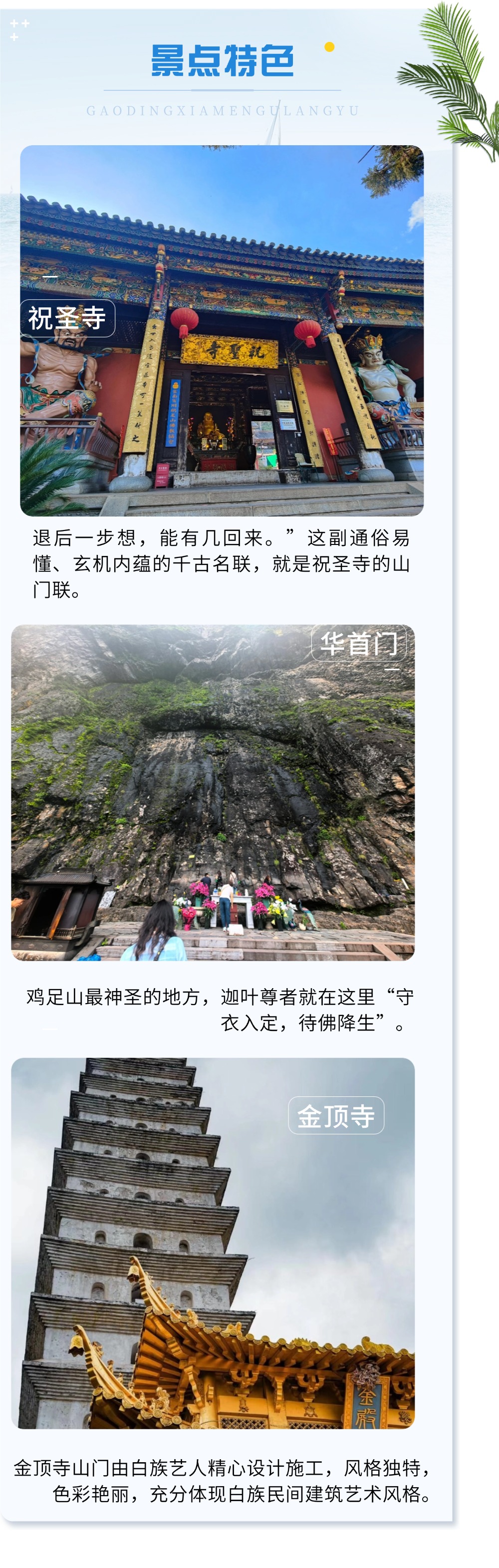 微信图片_20250730143745