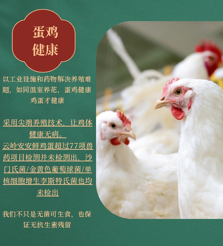 微信图片_20250731101026