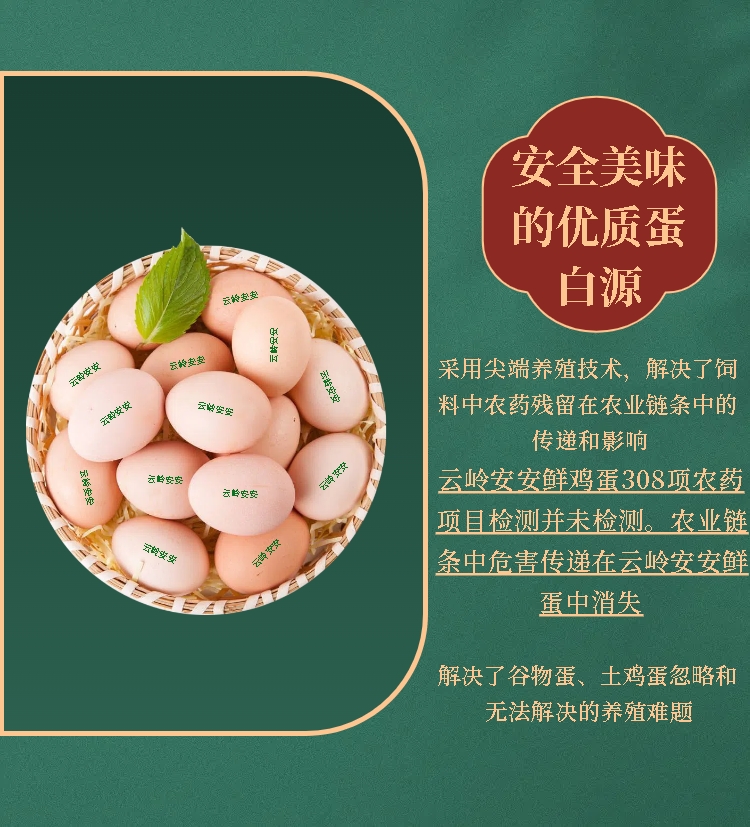 微信图片_20250731101028