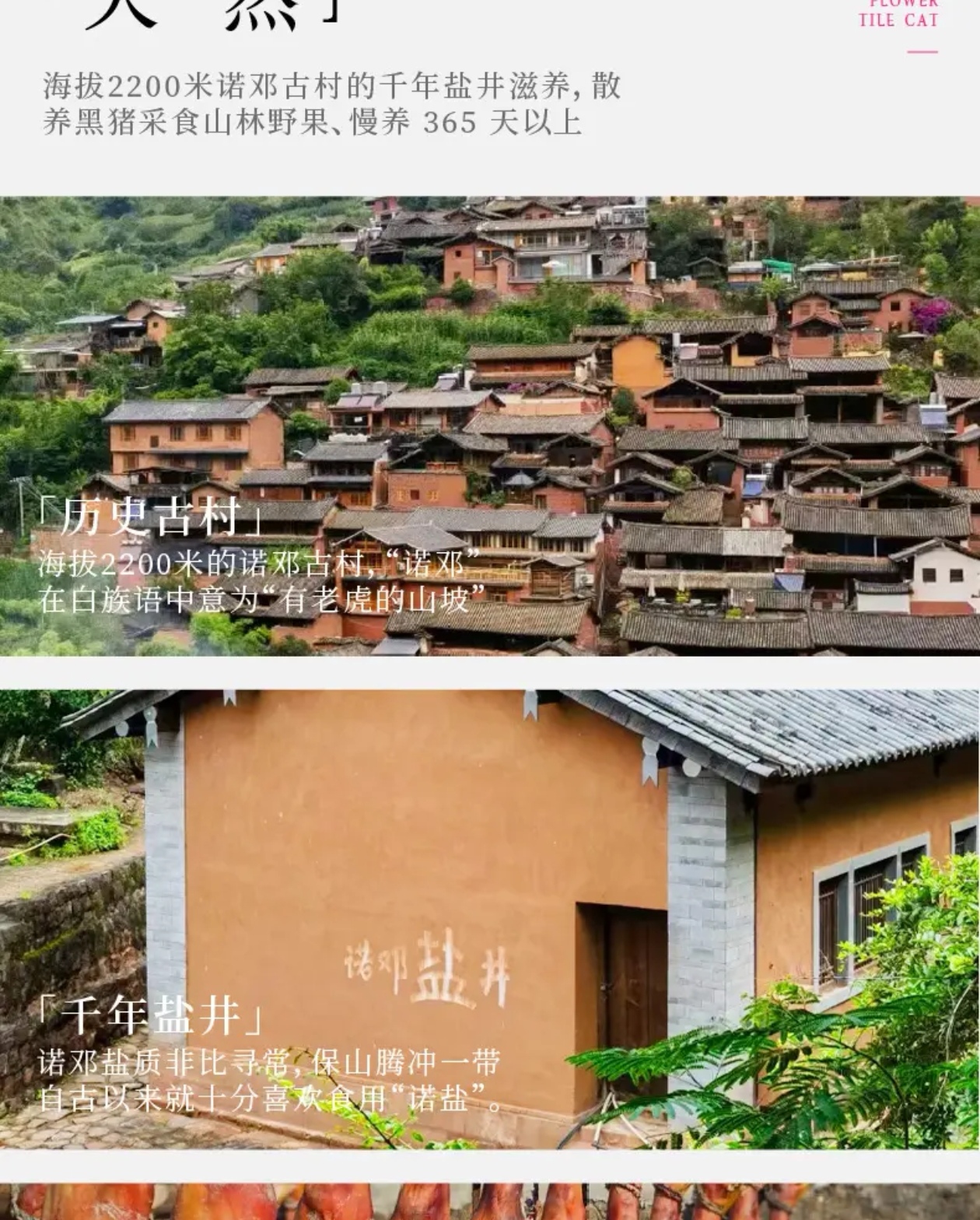 微信图片_20250805145103