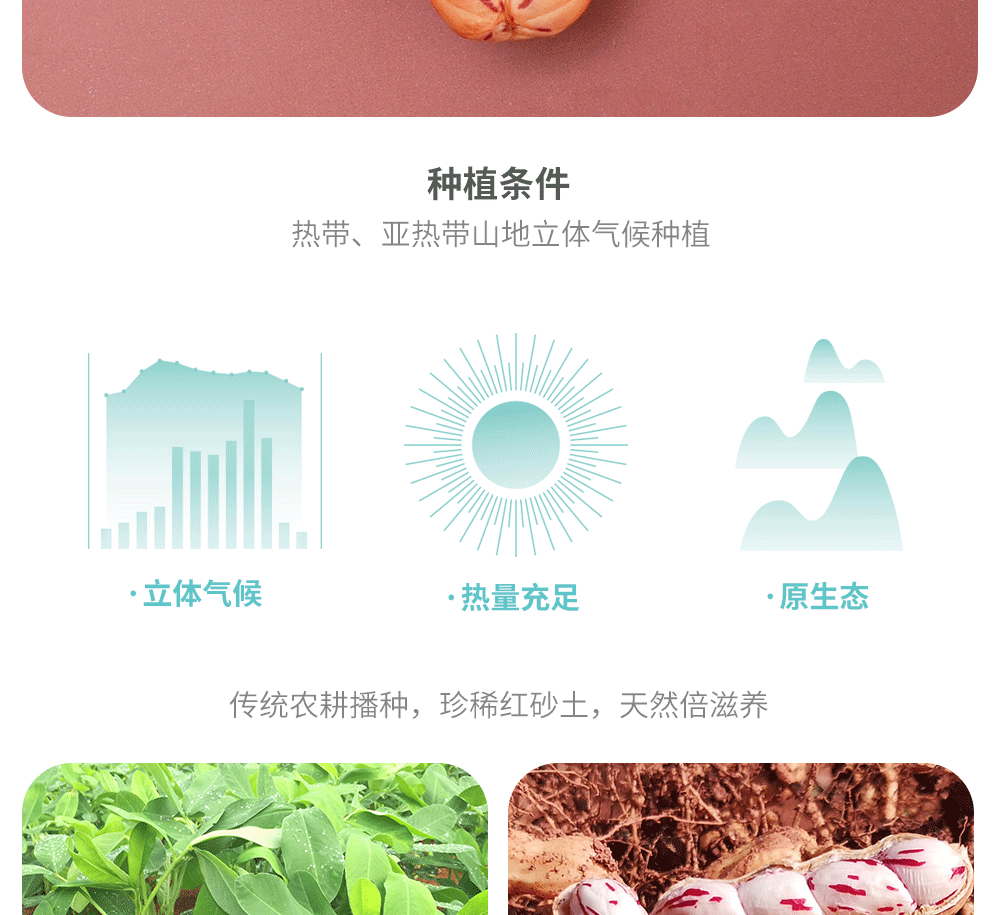 210克（熟）详情_08
