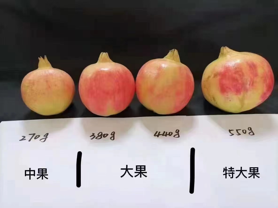 微信图片_20250825153228