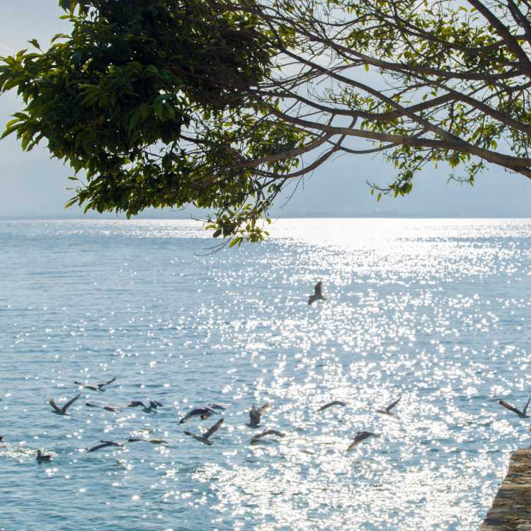 微信图片_20250917144136_262_31