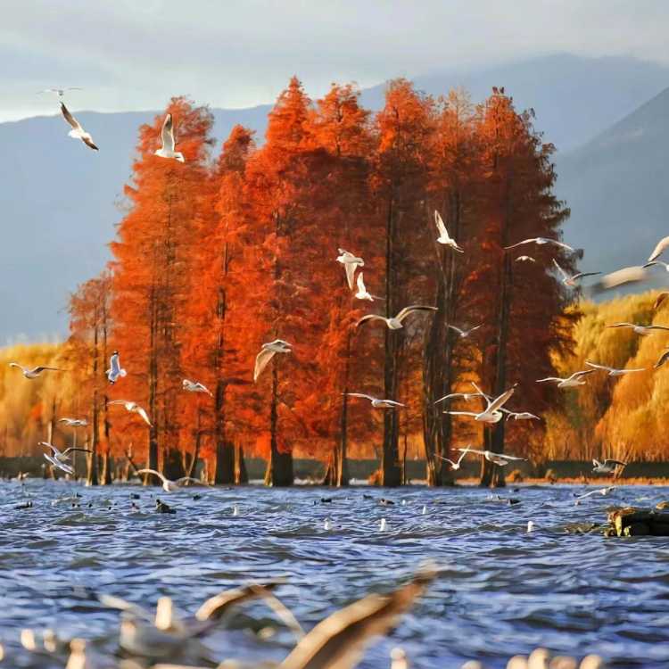 微信图片_20250918112022_318_31