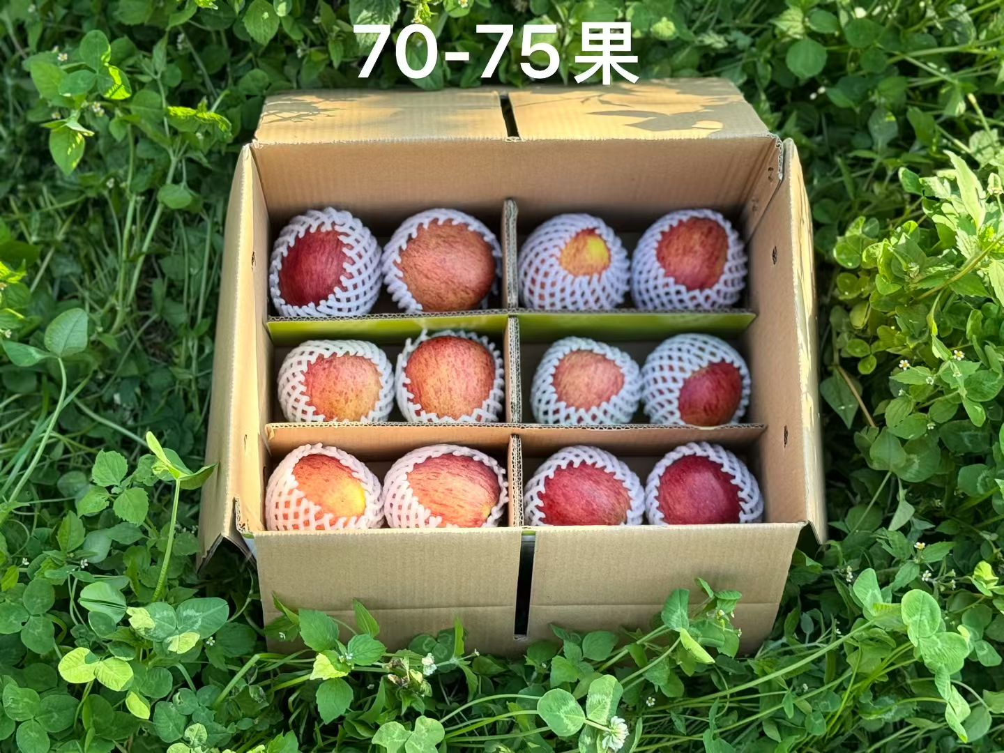 微信图片_20250922103532