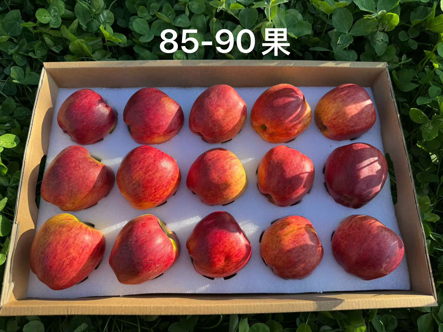 微信图片_20250922103529