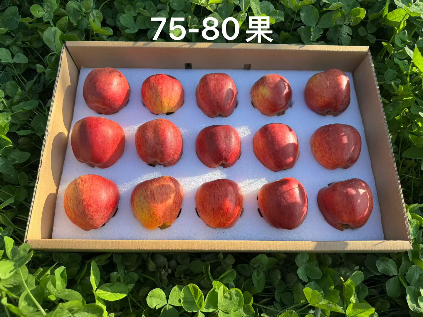 微信图片_20250922103526