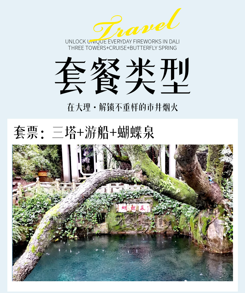 套餐类型2 套餐类型2