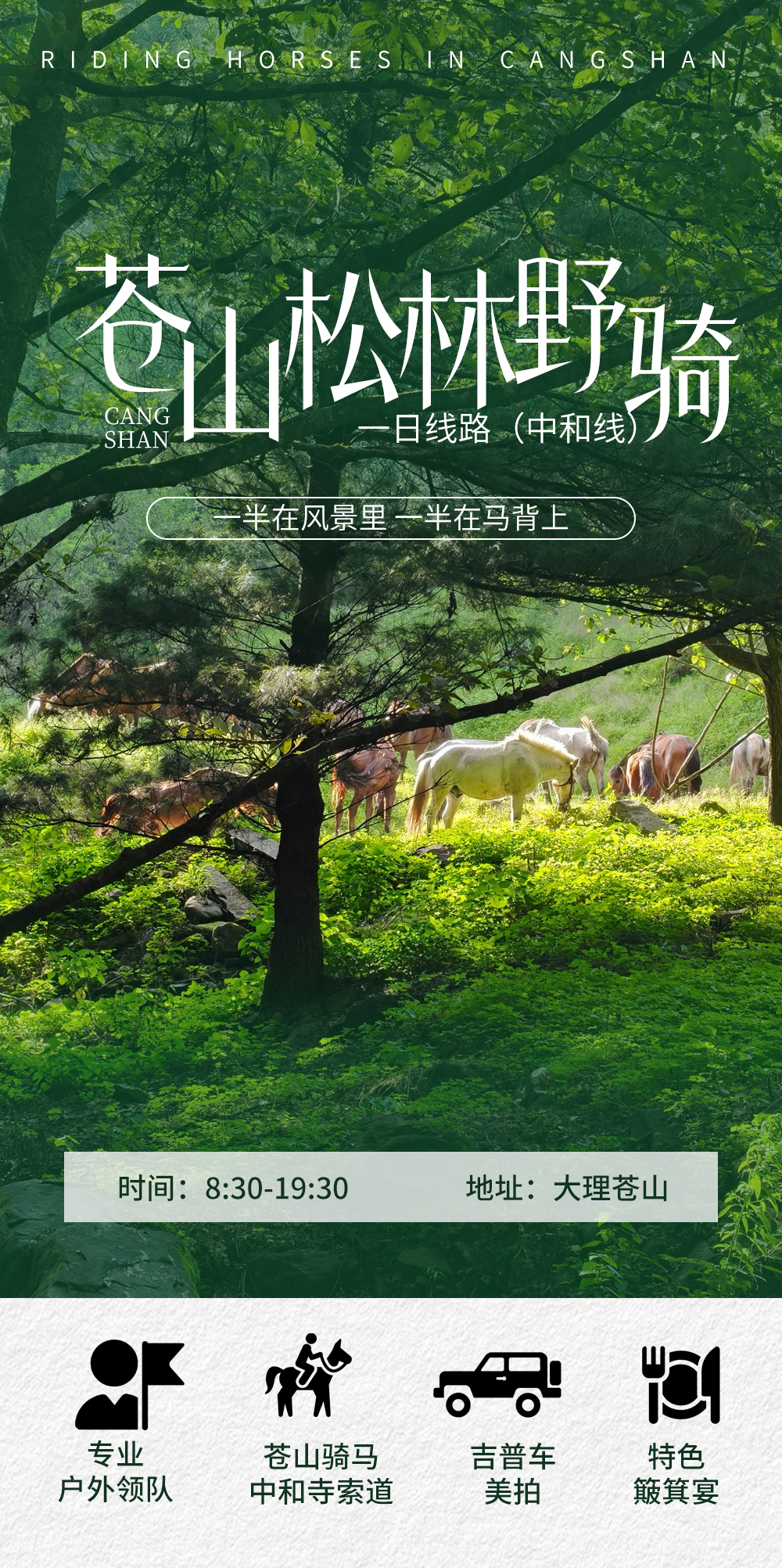 苍山骑马_01